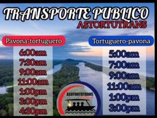 Casa Turtle Bogue Hotel Tortuguero Exterior photo